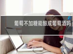 葡萄不加糖能酿成葡萄酒吗