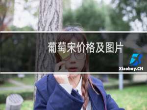 葡萄宋价格及图片