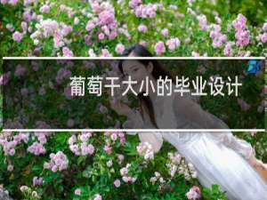 葡萄干大小的毕业设计