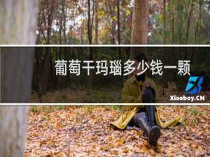 葡萄干玛瑙多少钱一颗