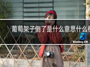葡萄架子倒了是什么意思什么梗