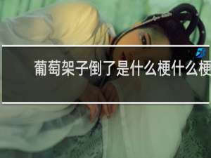 葡萄架子倒了是什么梗什么梗
