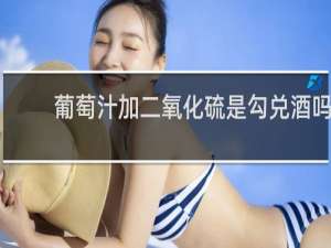 葡萄汁加二氧化硫是勾兑酒吗