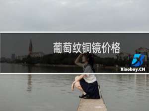 葡萄纹铜镜价格