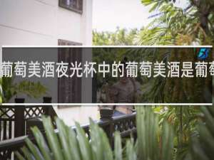 葡萄美酒夜光杯中的葡萄美酒是葡萄酒吗