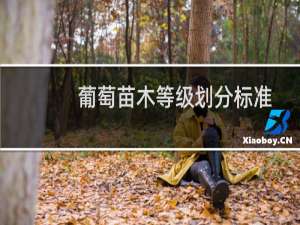 葡萄苗木等级划分标准