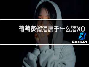 葡萄蒸馏酒属于什么酒XO