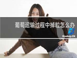 葡萄运输过程中掉粒怎么办
