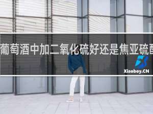 葡萄酒中加二氧化硫好还是焦亚硫酸钾好