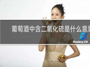 葡萄酒中含二氧化硫是什么意思