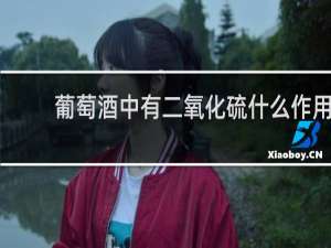 葡萄酒中有二氧化硫什么作用