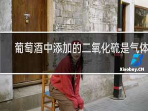葡萄酒中添加的二氧化硫是气体吗