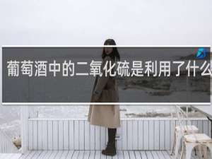 葡萄酒中的二氧化硫是利用了什么原理