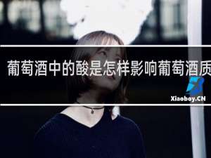 葡萄酒中的酸是怎样影响葡萄酒质量的