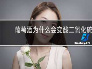 葡萄酒为什么会变酸二氧化硫