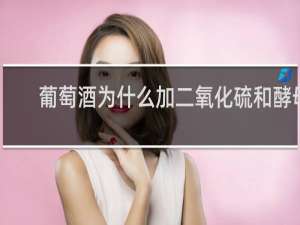 葡萄酒为什么加二氧化硫和酵母