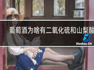 葡萄酒为啥有二氧化硫和山梨酸钾