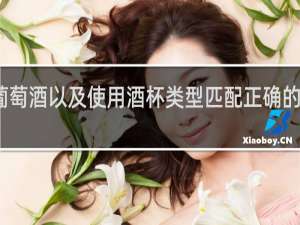 葡萄酒以及使用酒杯类型匹配正确的选项是