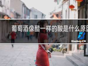 葡萄酒像醋一样的酸是什么原因