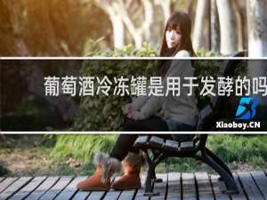 葡萄酒冷冻罐是用于发酵的吗