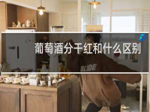 葡萄酒分干红和什么区别