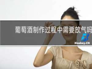葡萄酒制作过程中需要放气吗