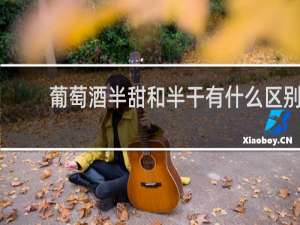 葡萄酒半甜和半干有什么区别