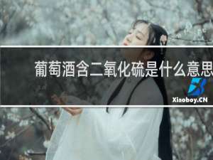 葡萄酒含二氧化硫是什么意思