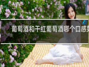 葡萄酒和干红葡萄酒哪个口感好