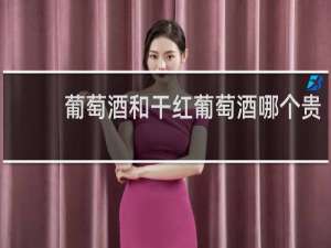 葡萄酒和干红葡萄酒哪个贵