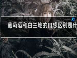 葡萄酒和白兰地的口感区别是什么