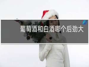 葡萄酒和白酒哪个后劲大