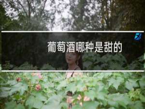 葡萄酒哪种是甜的