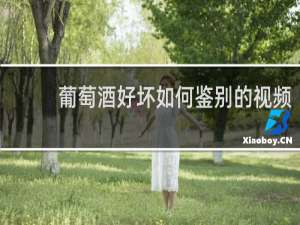 葡萄酒好坏如何鉴别的视频
