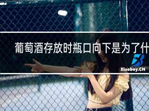 葡萄酒存放时瓶口向下是为了什么