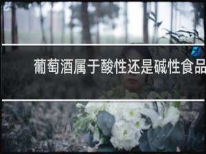 葡萄酒属于酸性还是碱性食品
