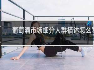 葡萄酒市场细分人群描述怎么写