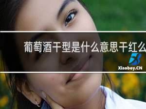 葡萄酒干型是什么意思干红么