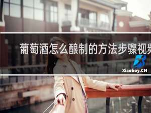 葡萄酒怎么酿制的方法步骤视频