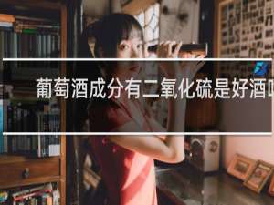 葡萄酒成分有二氧化硫是好酒吗