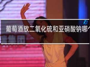 葡萄酒放二氧化硫和亚硝酸钠哪个好