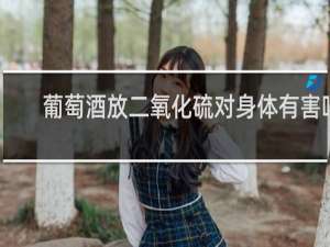 葡萄酒放二氧化硫对身体有害吗
