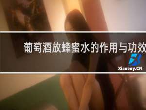 葡萄酒放蜂蜜水的作用与功效