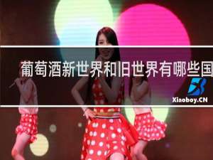 葡萄酒新世界和旧世界有哪些国家