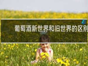 葡萄酒新世界和旧世界的区别