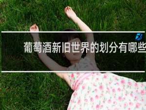 葡萄酒新旧世界的划分有哪些