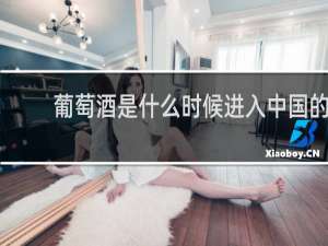 葡萄酒是什么时候进入中国的