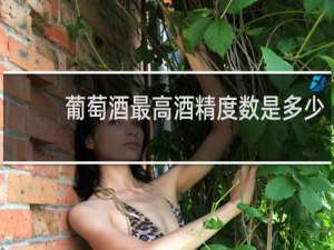 葡萄酒最高酒精度数是多少