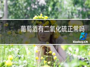 葡萄酒有二氧化硫正常吗