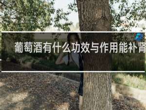 葡萄酒有什么功效与作用能补肾吗